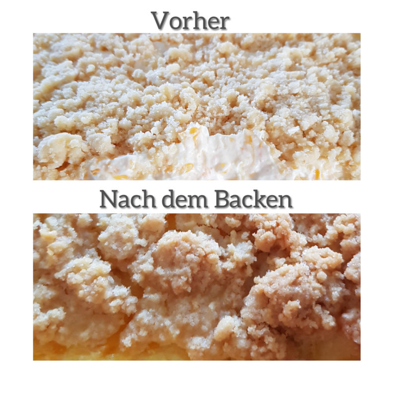 Mandarinen Schmand Blechkuchen