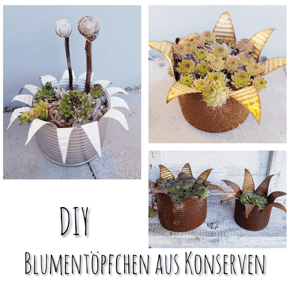 Konservendosen DIY