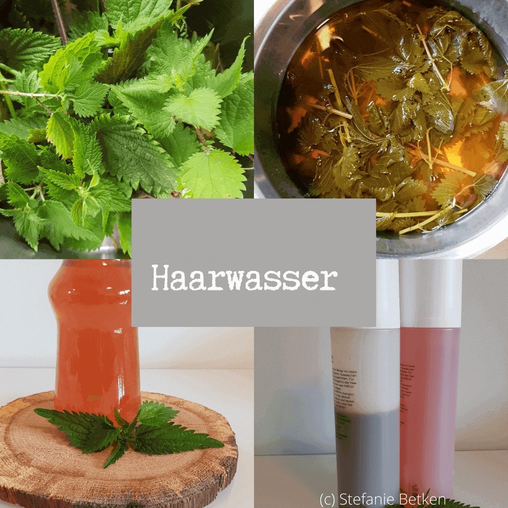 Brennnessel Haarwasser selber machen