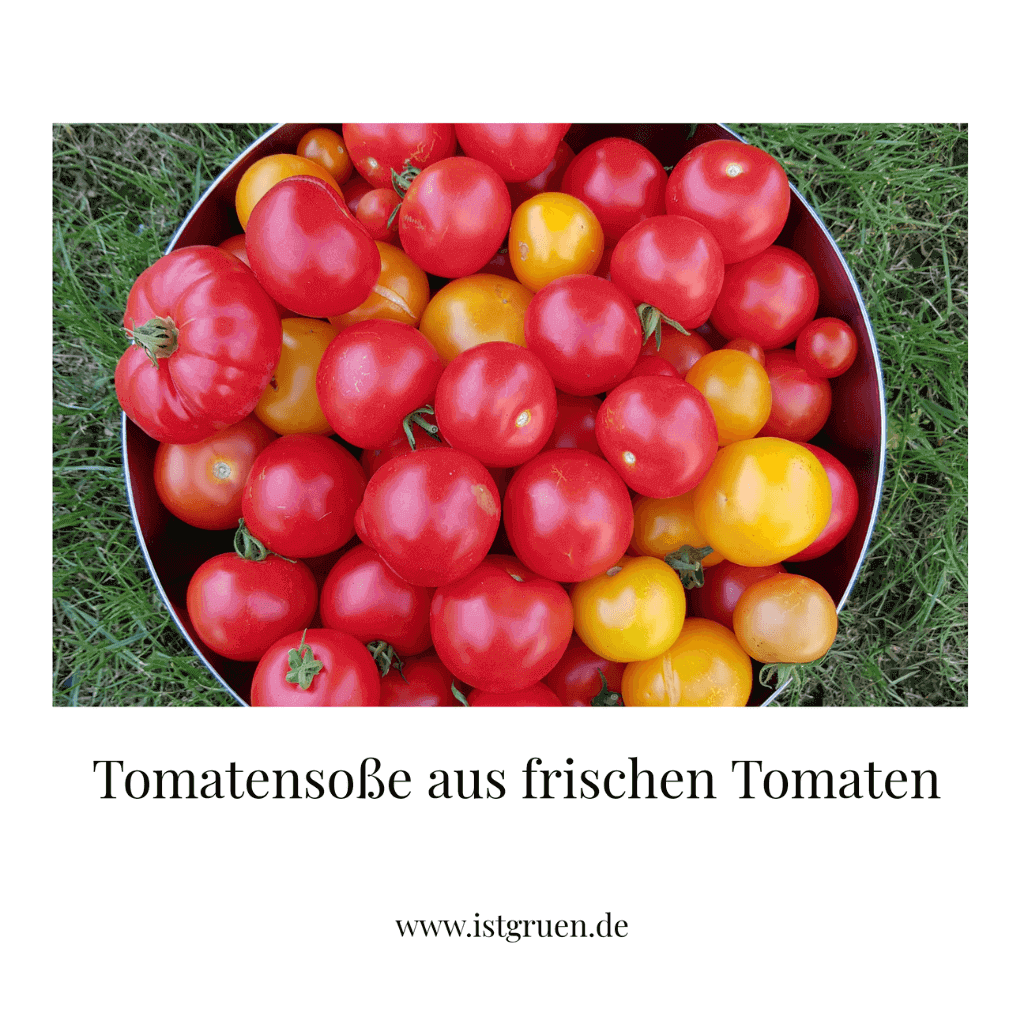 Tomatensoße aus frischen Tomaten