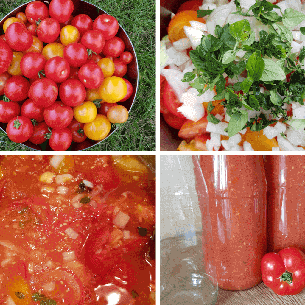 Nix Fertiggedöns – Tomatensoße aus frischen Tomaten | #sogehtNatur ...