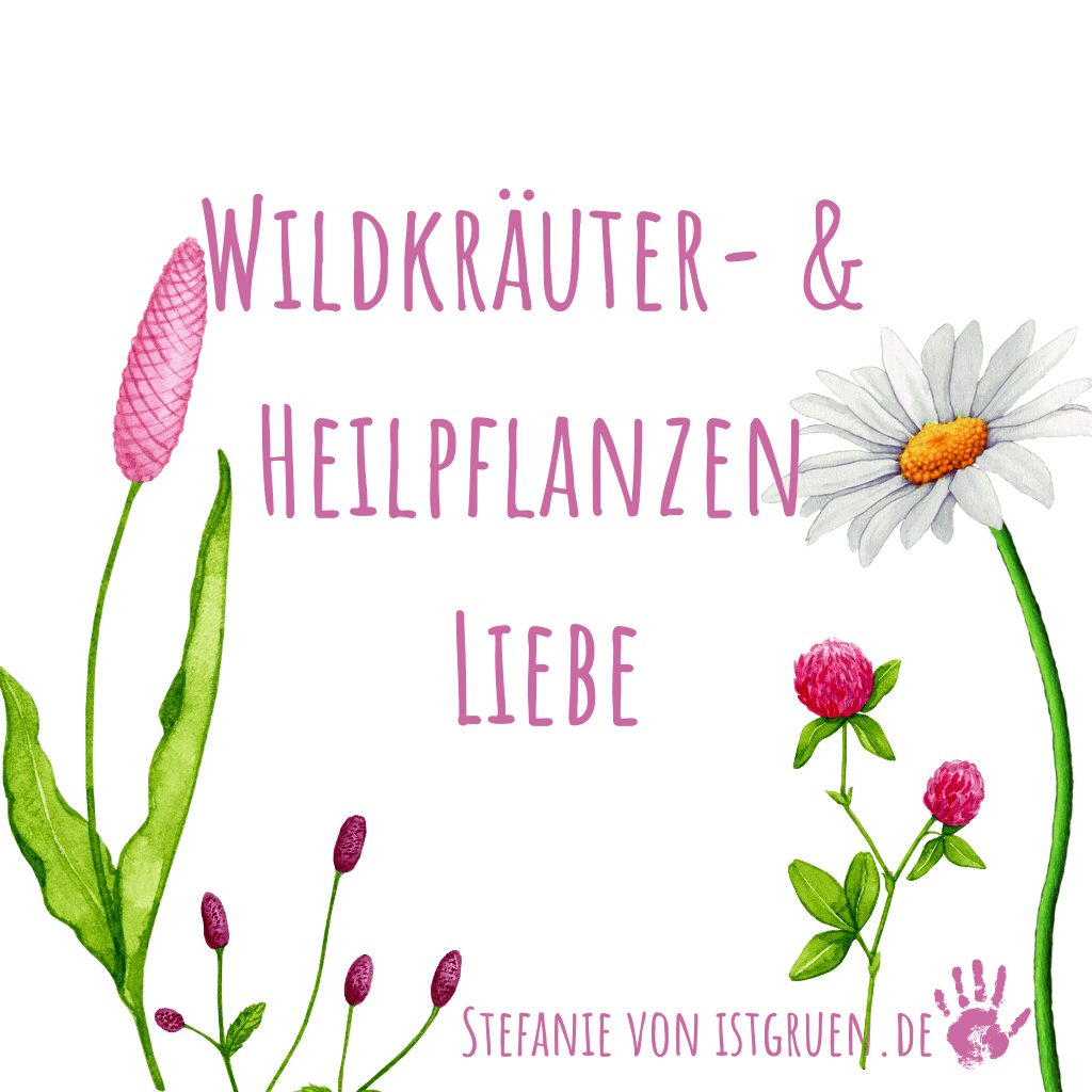 Wildkräuter- & Heilpflanzen Liebe