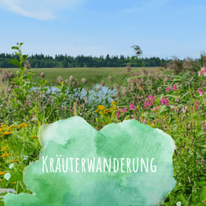 Kräuterwanderung