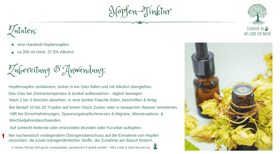 Hopfen-Tinktur istgruen.de