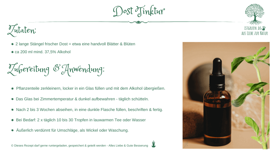 Rezept Dost Tinktur istgruen.de