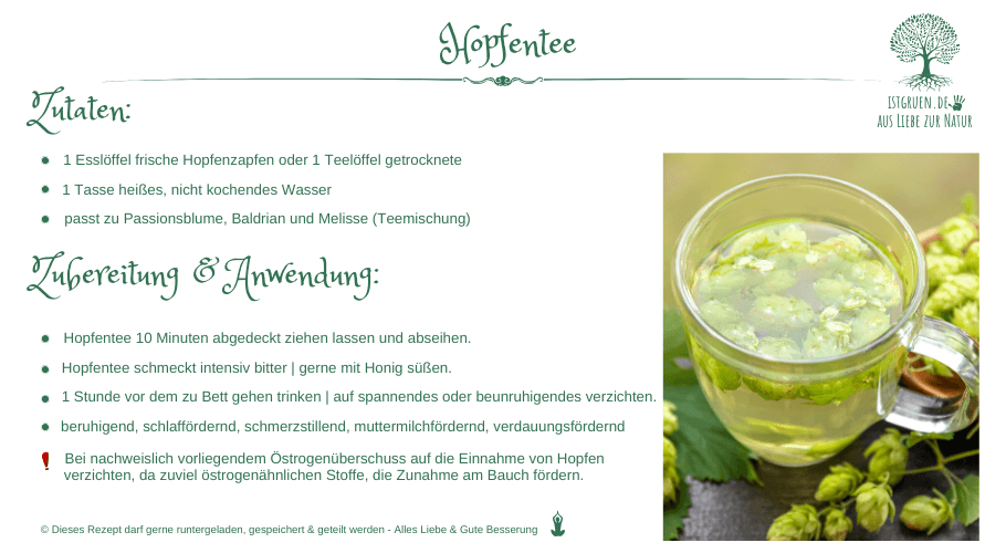 Rezept Hopfentee istgruen.de