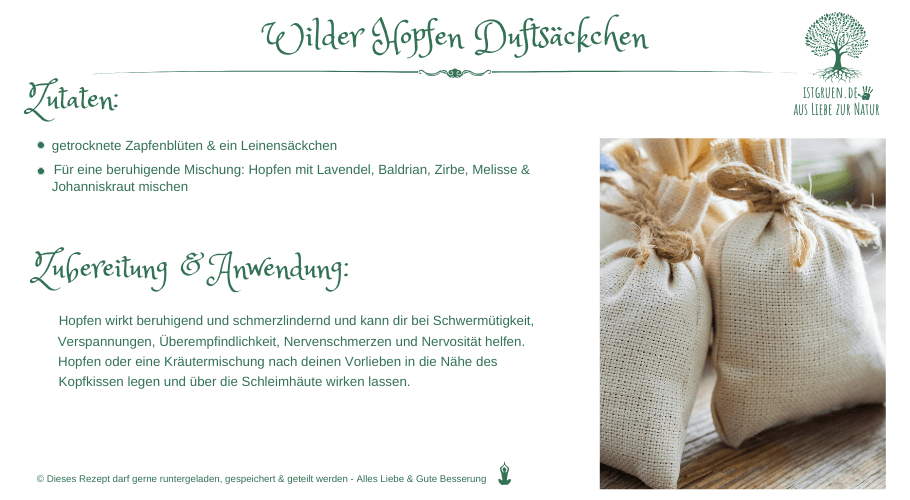 Wilder Hopfen Duftsäckchen istgruen.de