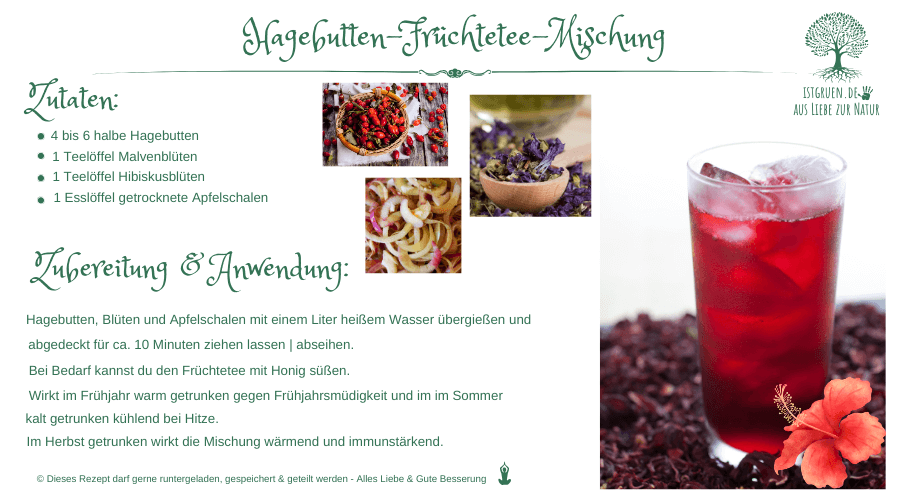 Hagebutten-Früchtetee-Mischung istgruen.de